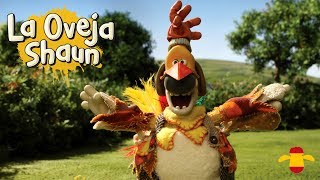 El Misterio Del Gallo Desaparecido - La Oveja Shaun Hd