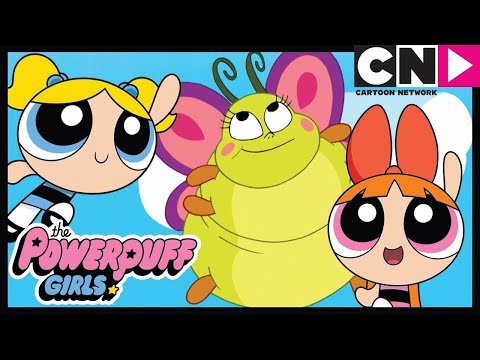 Суперкрошки  | день Земли | Cartoon Network