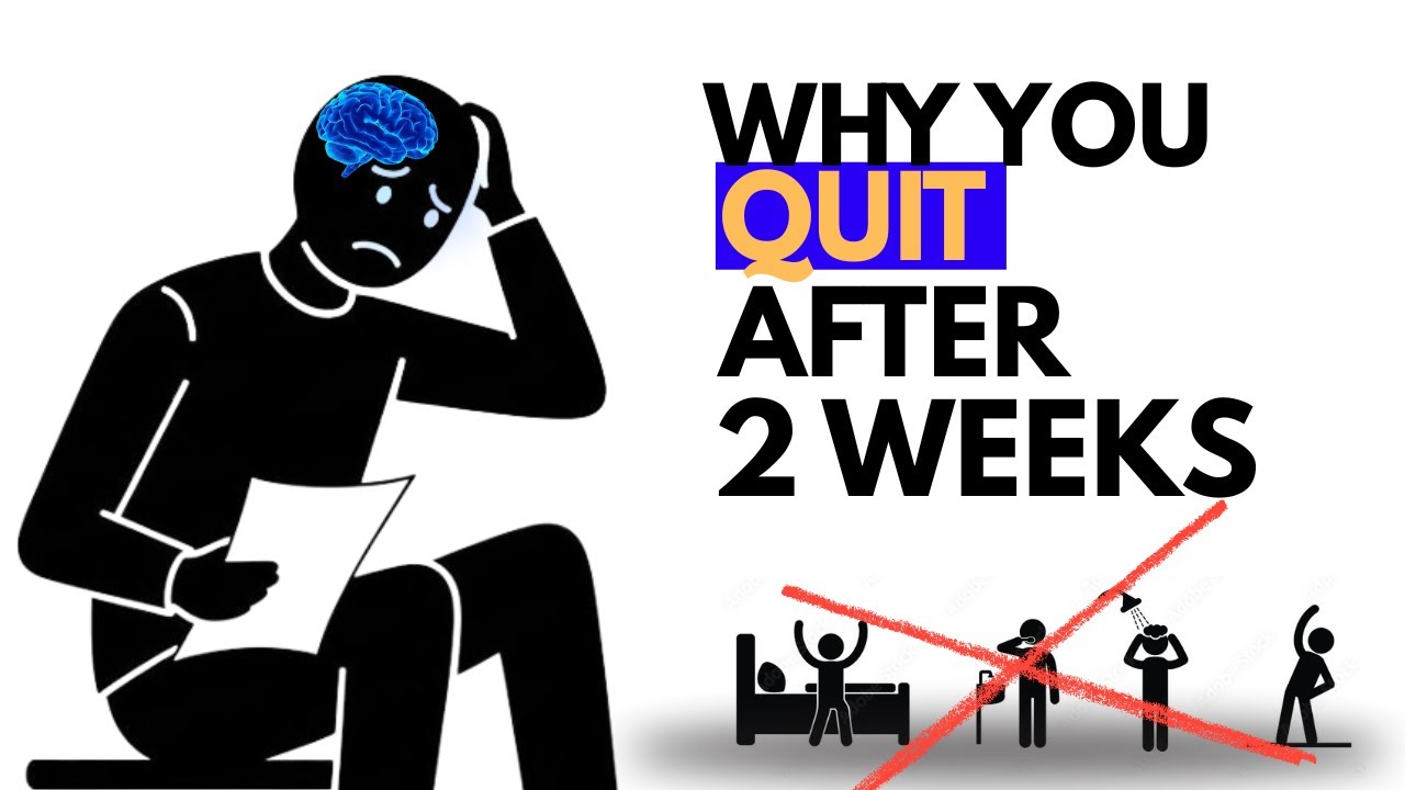 Why Most Productive Student Routines Fail After 2 Weeks (Psychology Explained)
