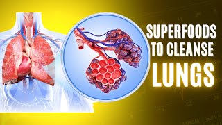 Chain-Smokers Need These Superfoods To Cleanse Their Lungs by StayHealthy 95 views 1 year ago 3 minutes, 54 seconds