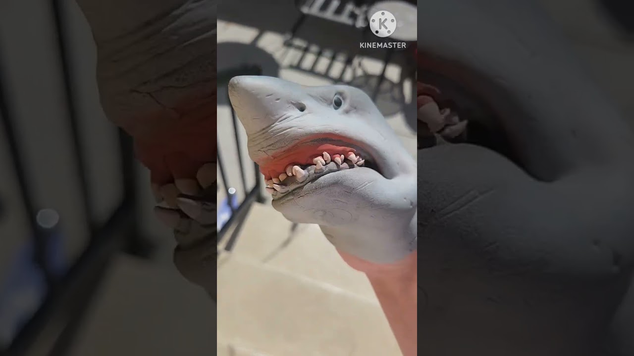 АКУЛА-КУКЛА, КРИЧИ ОТ КРИЧИ!!!(При участии @HaydenWR )