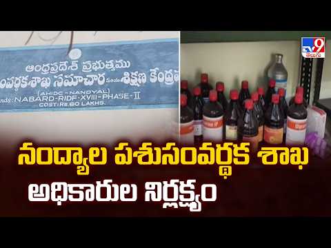 Nandyal Animal Husbandry Department Negligence : నంద్యాల పశుసంవర్థక శాఖ అధికారుల నిర్లక్ష్యం - TV9
