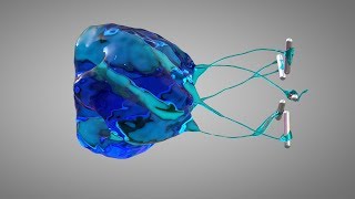 Fluid Tests with RealFlow (Cinema 4D)