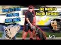 DO NOT TRAIN YOUR DOG WITH TREATS!  Professional Dog Trainer Food Training Secrets Revealed!