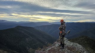 Backpack Hunting, Chasing Sambar in the Mountains