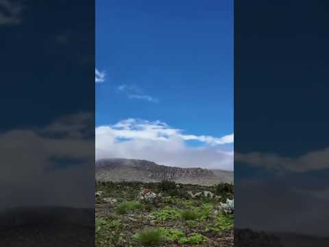 Tullu Dimtu the 2nd highest peak in Ethiopia! #shorts