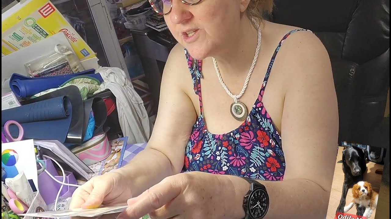 BEL ARRIVAGE CHEZ NOZ 🌸STUDIO LIGHT🌼 JOY CRAFT🌺 ÉMOTION.. ⛵ET AUTRES👀 DES TROUVAILLES BIEN SYMPA...🫶