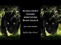 Mditation guide par lesprit animal jaguar noir  srie de mditation chamanique
