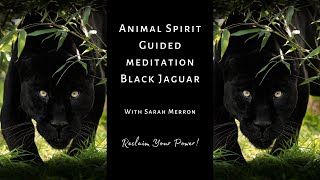 Animal Spirit Guided Meditation Black Jaguar | Shamanic Meditation Series