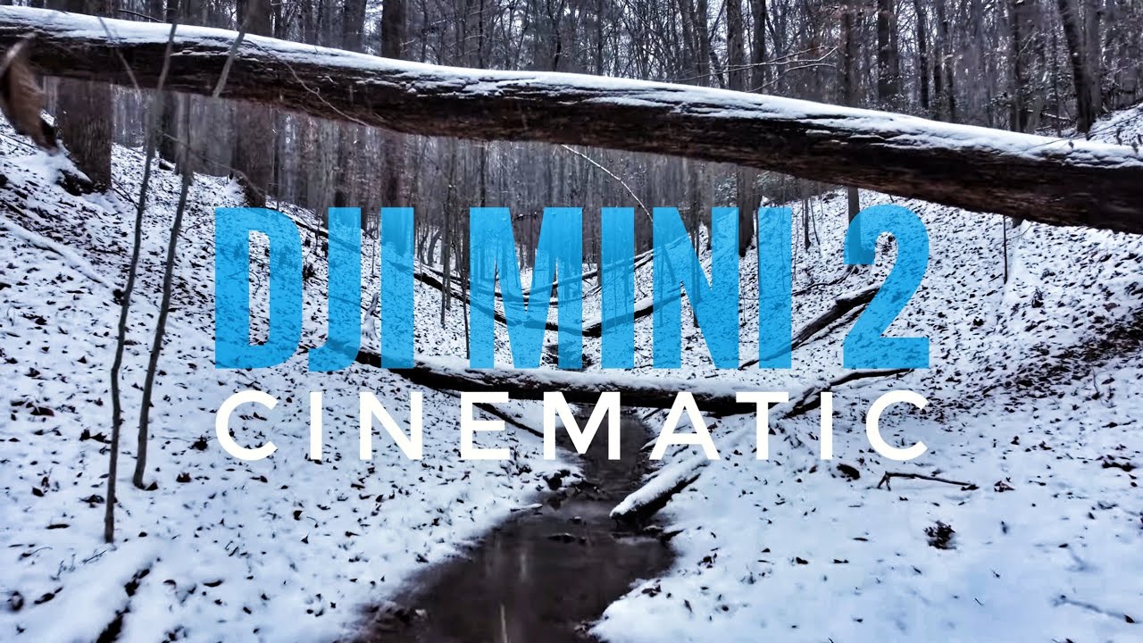 DJI Mini 2 4K Cinematic Video |  Up Against Old Man Winter (Incredible in the Snow!)
