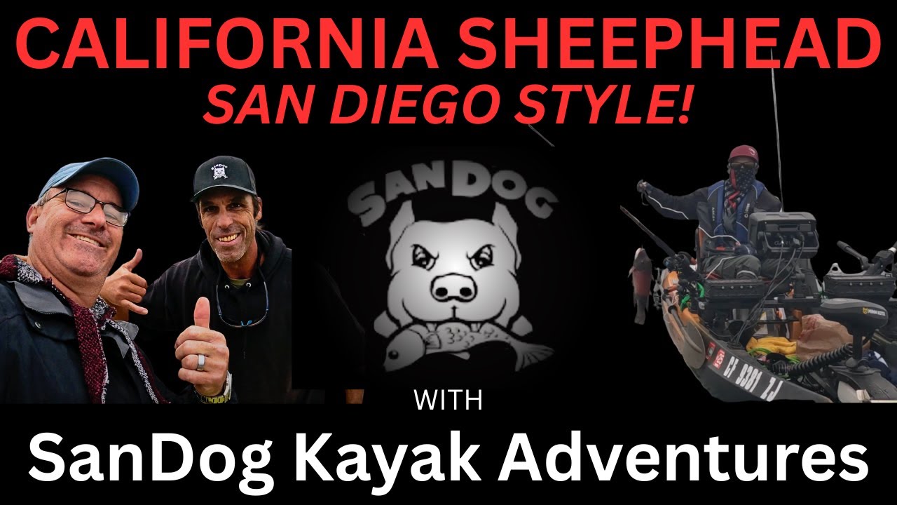 Как поймать морского окуня с помощью SanDog Kayak Adventures