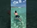 The Bahamas Water Is Amazing рџЊґ Thebahamas Bahamas Caribbean Ocean Bimini Swimming The Bahamas Water Is Amazing рџЊґ Thebahamas Bahamas Caribbean Ocean Bimini Swimming