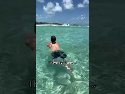 Video: Բահամա լողափ - Դալլաս Տեխասի ջրաշխարհ