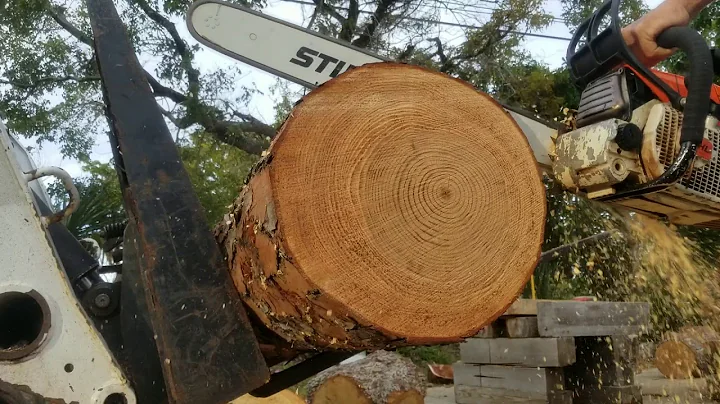 STIHL 064 AV  ported   25" BAR