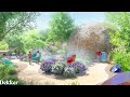 Designs revealed for new ABQ BioPark Children's Fantasy Garden
