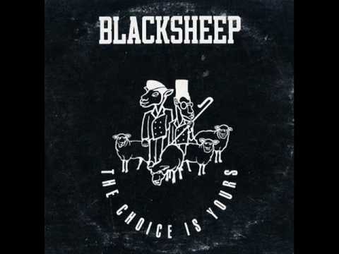 black sheap - the choice is yours