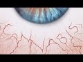 Why Does Marijuana Make Your Eyes Red?
