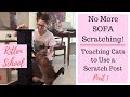 How to Teach Your Cat to Use a Scratching Post How to Teach Your Cat to Use a Scratching Post