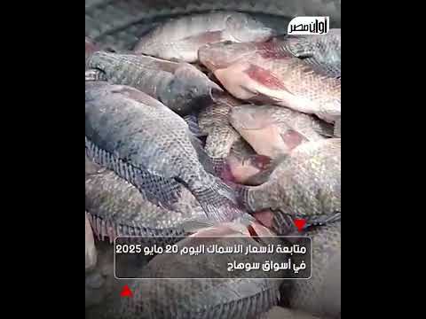 صاحى وبيلعب أسواق الأسماك فى سوهاج ت شعل السوشيال ميديا فى سوهاج أعرف السعر كام