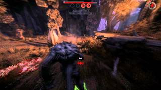 Evolve [Beta weekend 16-19 Jan 2014]