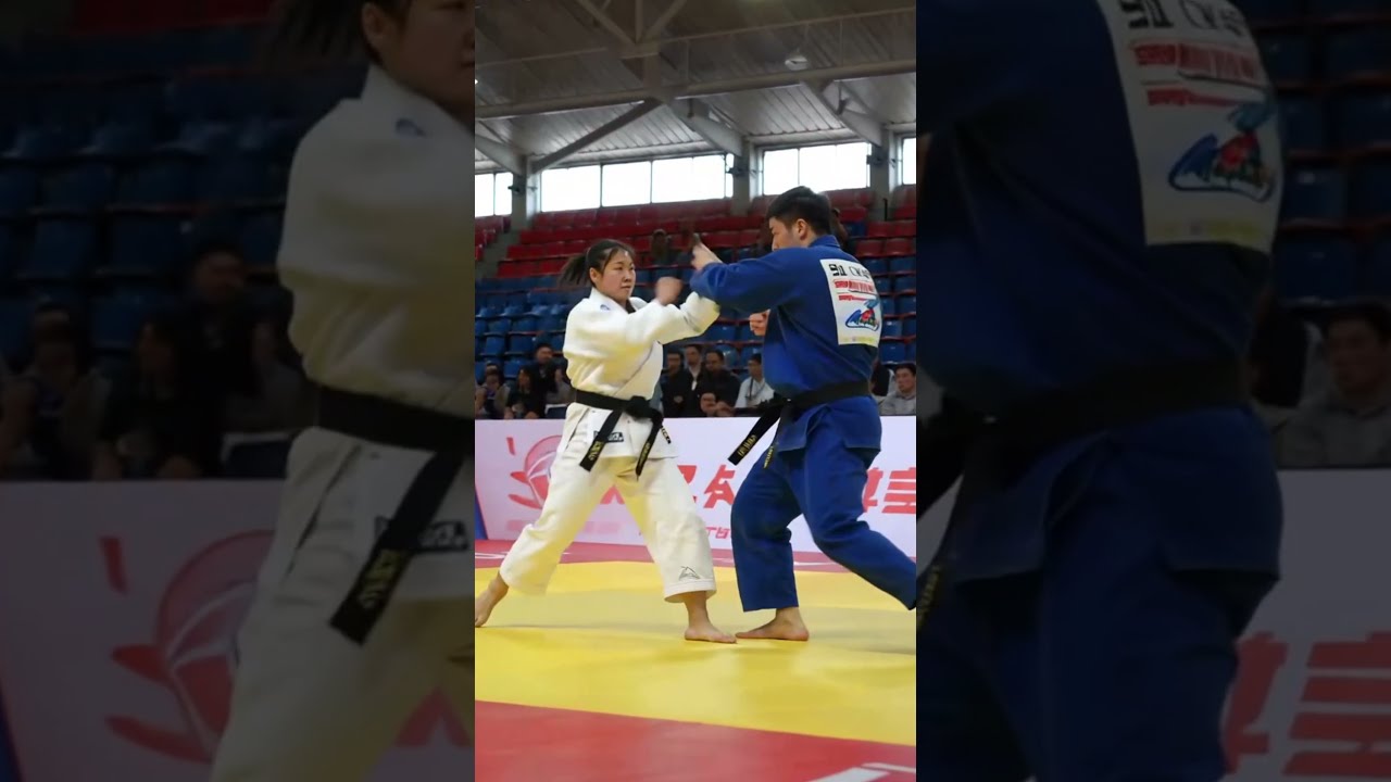 Welcome to Dynamic Combat Moves!Taekwondo Fight in ,Dynamic Martial Arts Action