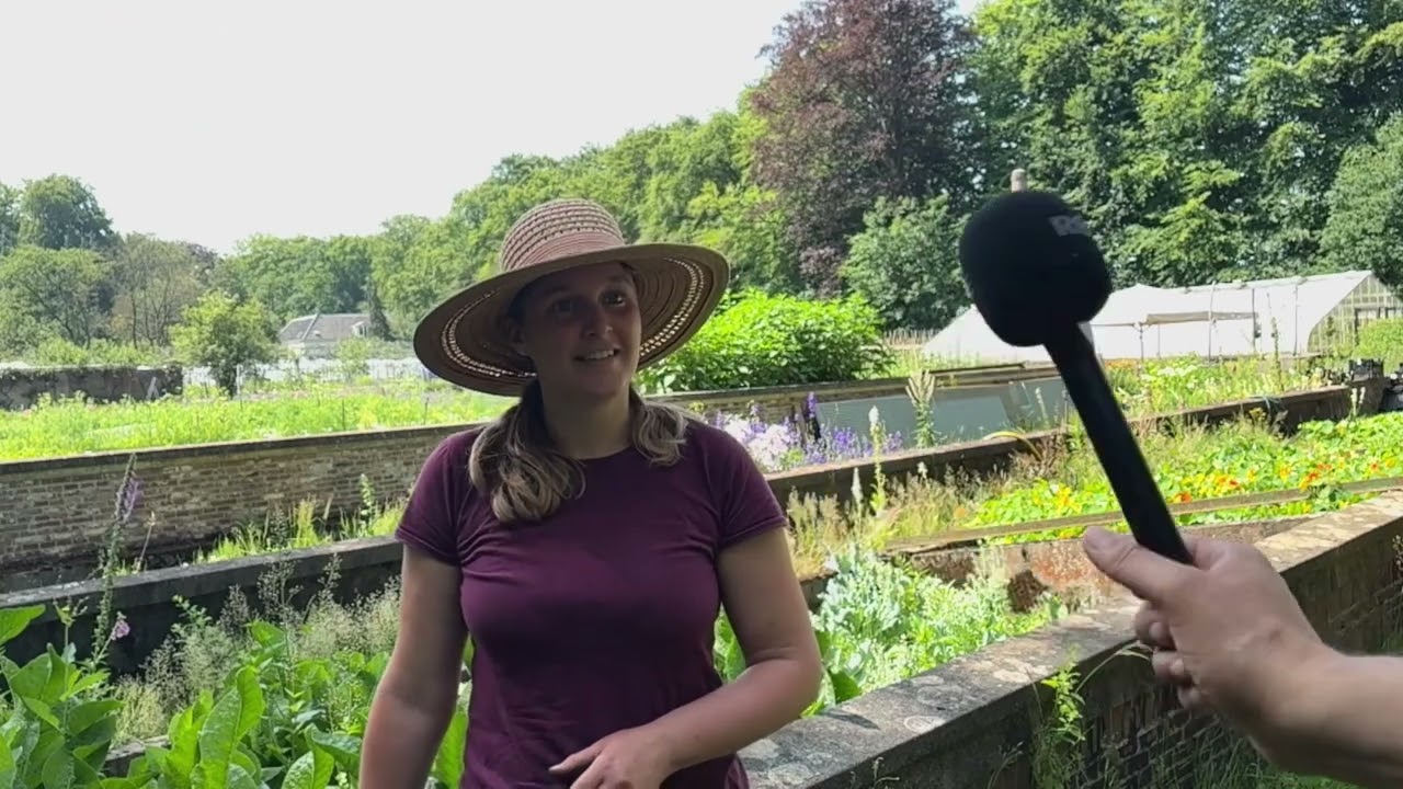 Moestuin Vollenhoven piekfijn