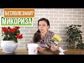 Зачем нужна микориза ☘ Кормилица Микориза для корней