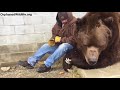 When your bear had a hard day and needs some extra love....