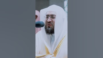 عن جمال هذة الآية " أمن يجيب المضطر إذا دعاه " د. بندر بليلة
