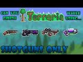 Can you Finish Terraria using Shotguns Only? Terraria 1.4.1