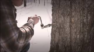 Celebrity Old Fashioned Tapping With Buckets Net Worth