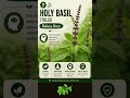 Feeling Stressed? Try This Herb.