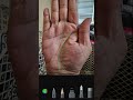 जीवन रेखा 2 मुखी होना।#palmistry #astroritesh #rishabhjithepalmist #astrologicalgemstone