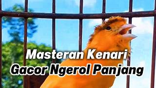 Relaxing  with Nature and Bird Sounds | Deep Sleep Nature Sounds for Calm Nights | Relax your mind screenshot 5