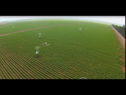 Khoa học công nghệ trong nông nghiệp | (Vietsub) 7 Công nghệ làm cho nông nghiệp Israel đứng trên đỉnh thế giới