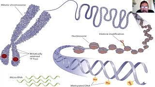 Epigenetics or Darwin needs a Rethink- Dr Vaughn Mancha, Ratio Christi