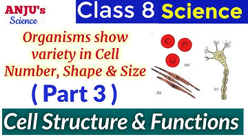 Part 3 Organisms show Variety in Cell Number, Shape and Size || Science Class 8 Chapter 8 Cell