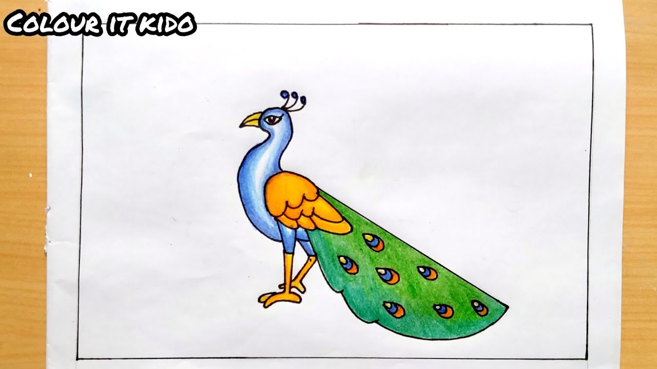 Peacock Drawing | Peacock Drawing easy | Beautiful peacock Drawing ...