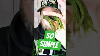 Why Anglers Struggle With Tubes Snagging - The Stupid Simple Fix!