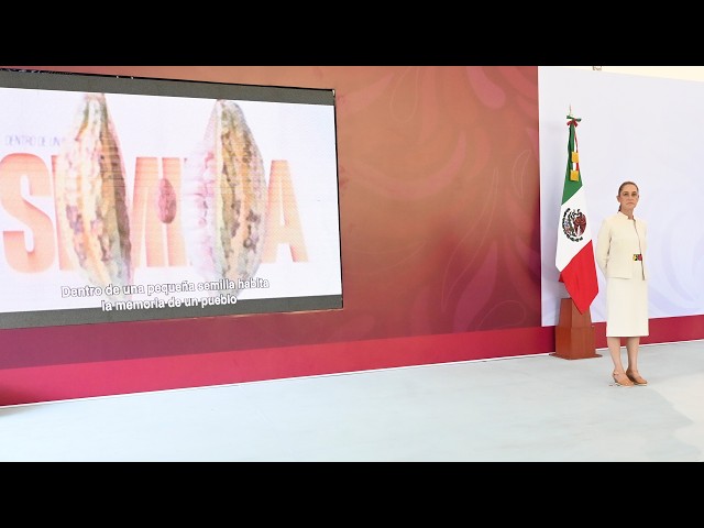 Conferencia de prensa matutina desde Villahermosa, Tabasco. Viernes 25 de septiembre 2026