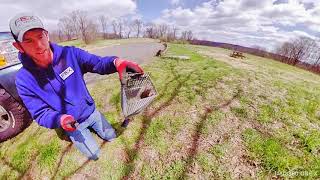 Flying Squirrel Relocation