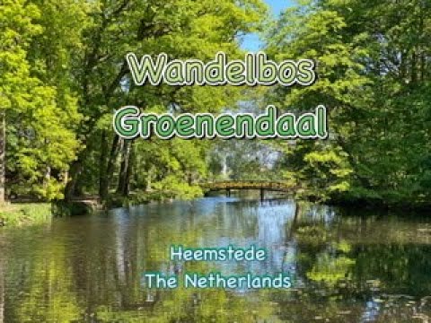Wandelbos Groenendaal, Heemstede - The Netherlands