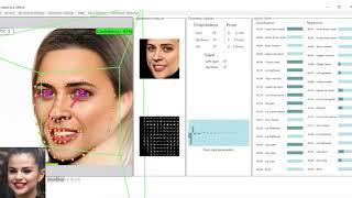 OpenFace 2.0 performance - Msc thesis on DeepFake generation