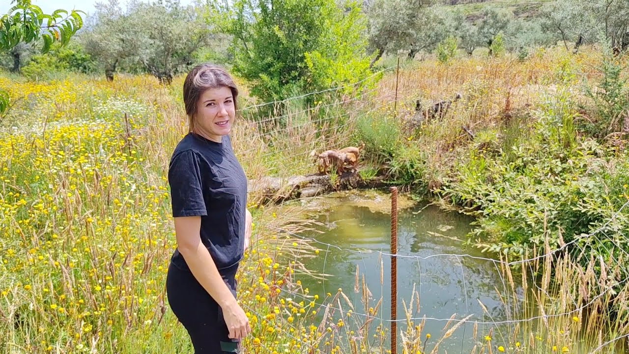 Voy a la finca de Richard a ver si se han secao las higueras que pusimos