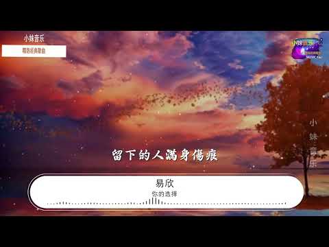 你的选择#易欣你的選擇   易欣『你的選擇沒有錯 我欠你的太多』【歌詞Lyrics】