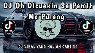 DJ OH DICUEKIN X SA PAMIT MO PULANG SLOWED MENGKANE VIRAL TIKTOK 2025