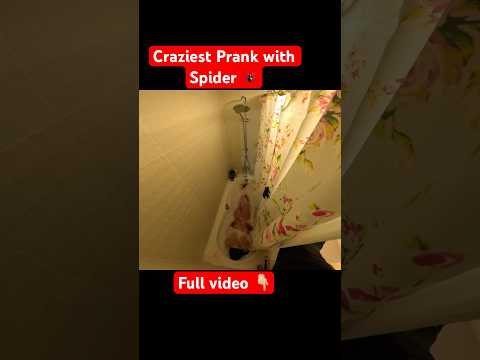 Dad Twins Vs ANGRY Mom The Craziest Pranks Ever Funny Family POV Viralvideo Funny Crazy 
