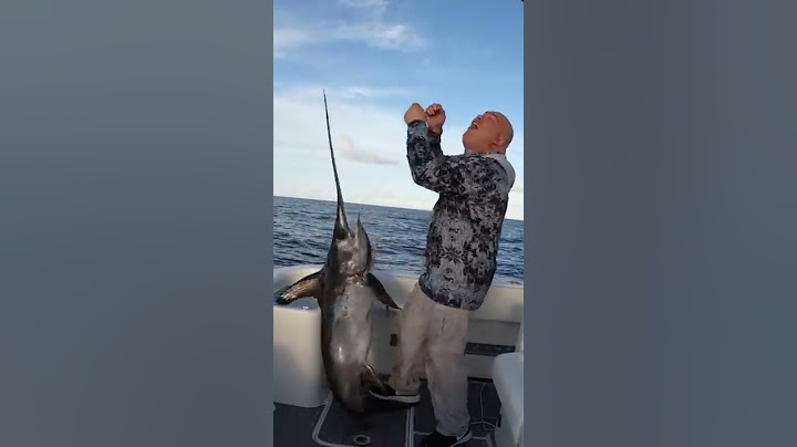 Swordfish is no JOKE!