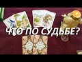 ЧТО ПО СУДЬБЕ? ☘️💰♥️🎀 (работа, любовь, здоровье)