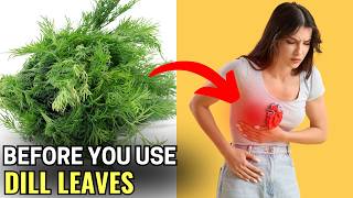 The Benefits and Harms of Dill Leaves: Should You Eat Them?